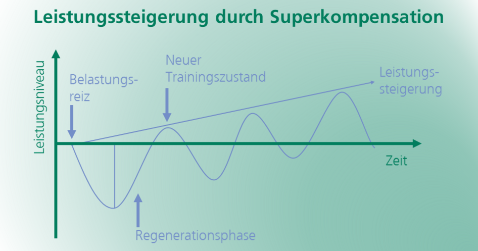 Leistungssteigerung durch Superkompensation