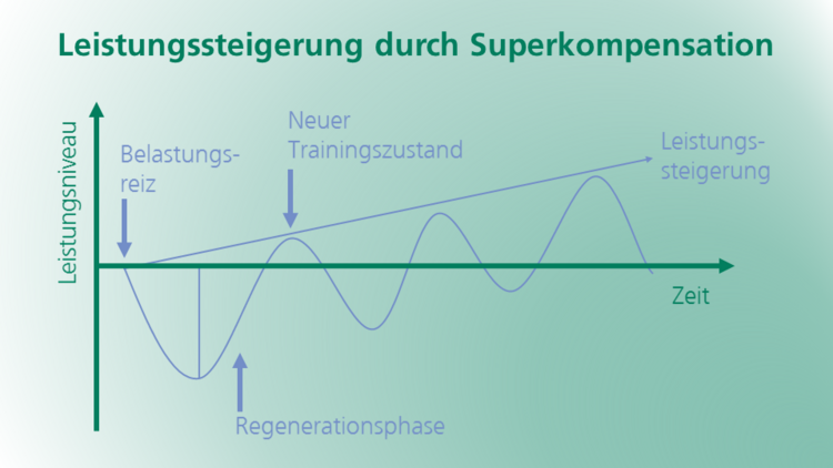 Leistungssteigerung durch Superkompensation